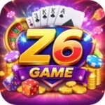 Z6 Game