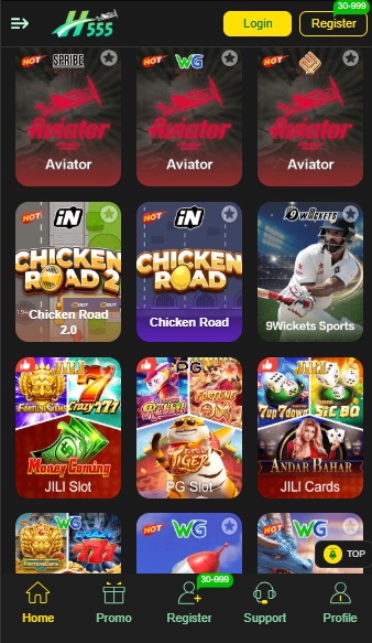 h5555 Game image