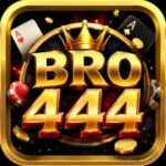 Bro444 Game logo