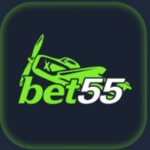 Bet55 game logo